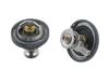 <b>VOLVO:</b> 30713572<br/><b>VOLVO:</b> 3071357-2<br/>